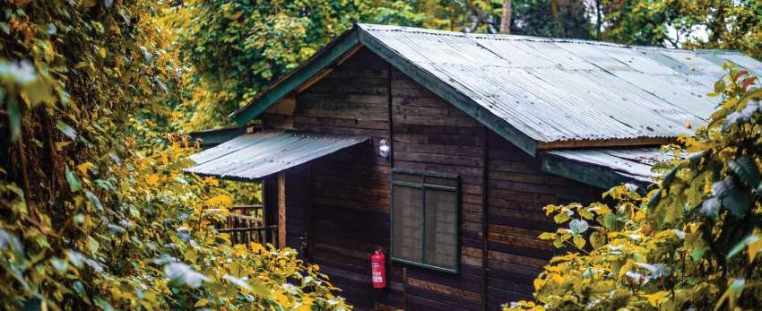 Rwenzori Mountains Luxury Safari