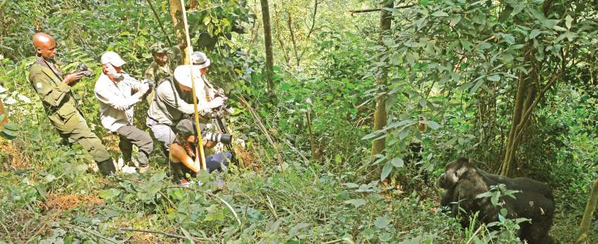 Tailor Made Uganda Safari