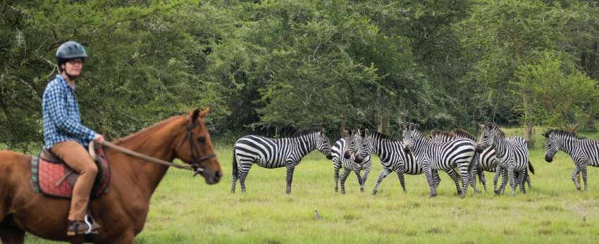Top Luxury Safari Experiences Uganda