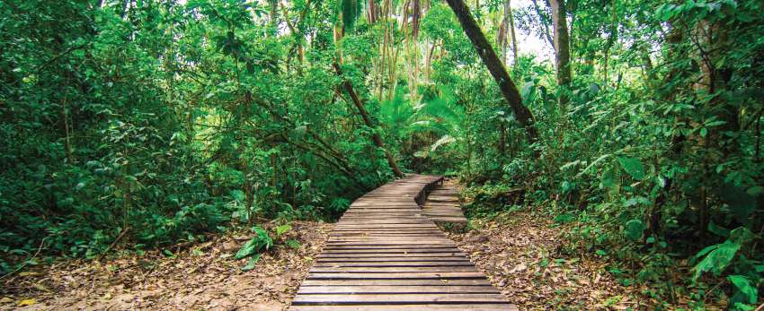 Kibale Forest Luxury Safari