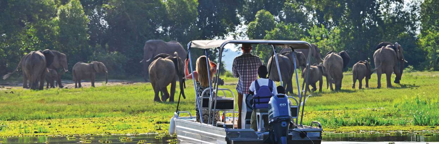 Top Luxury Safari Experiences Uganda