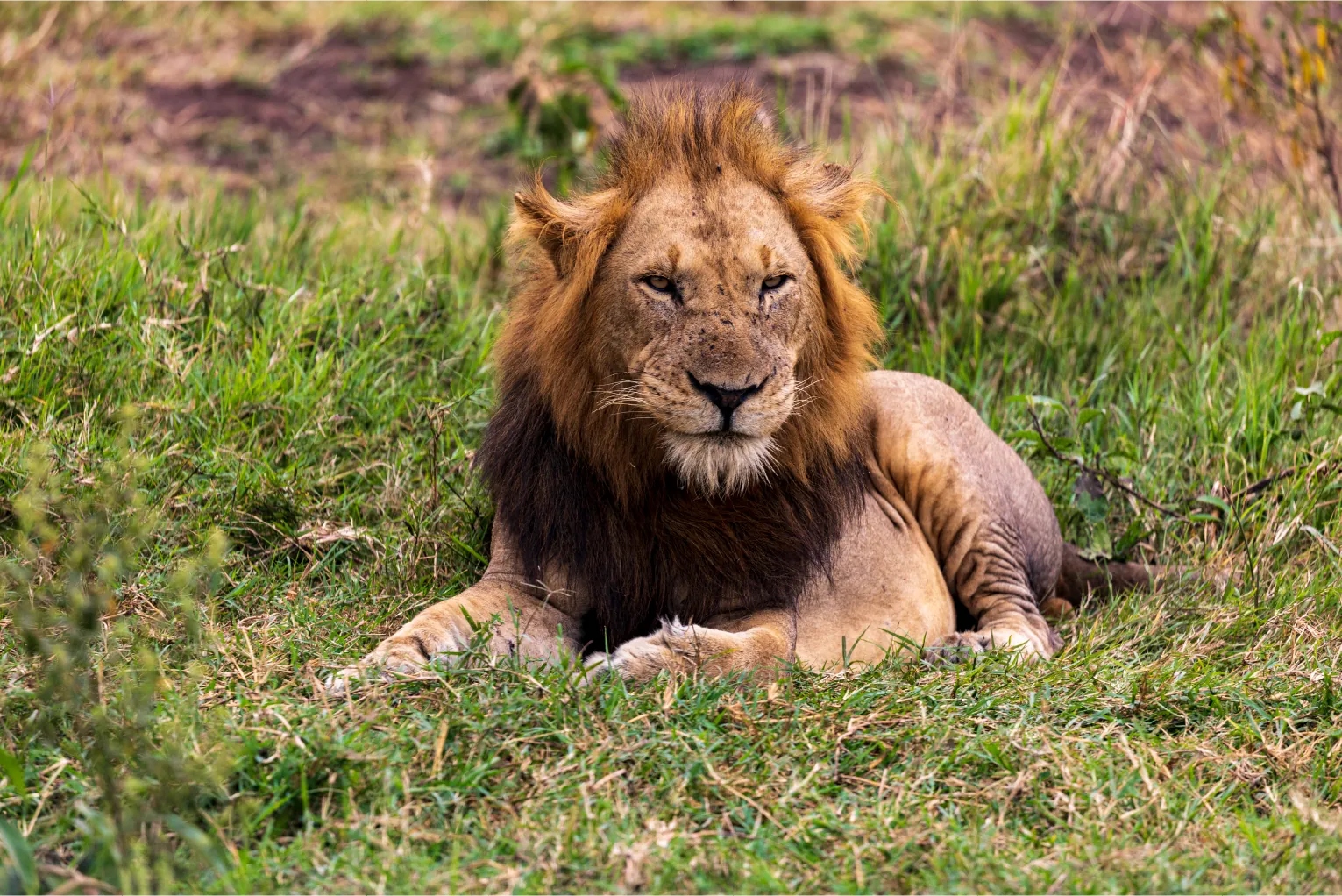 Masai Mara balloon safari Kenya