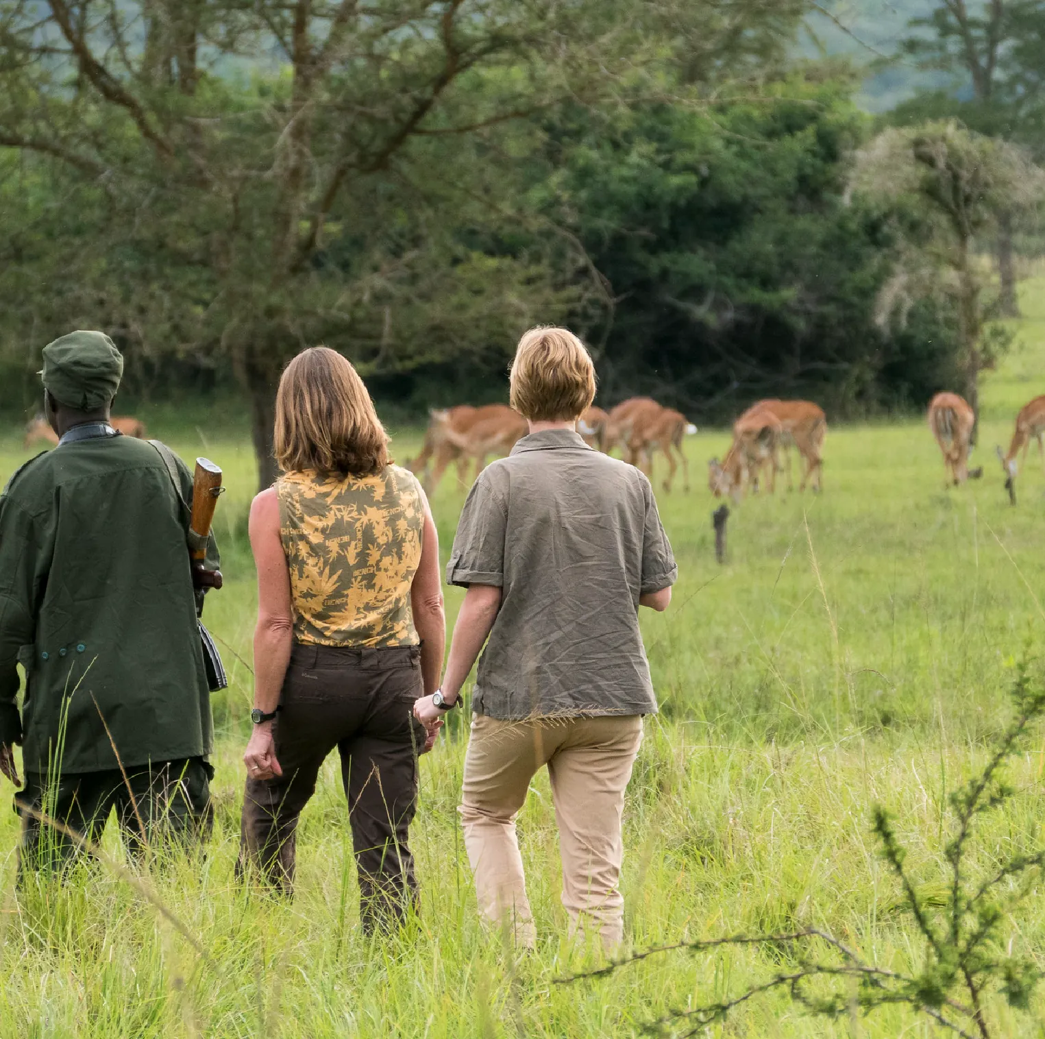 10 Days Uganda Family Safari Collection luxury safari