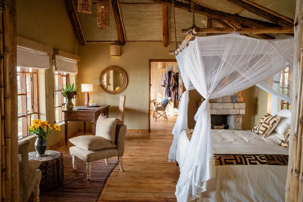 Clouds Mountain Gorilla Lodge in Bwindi