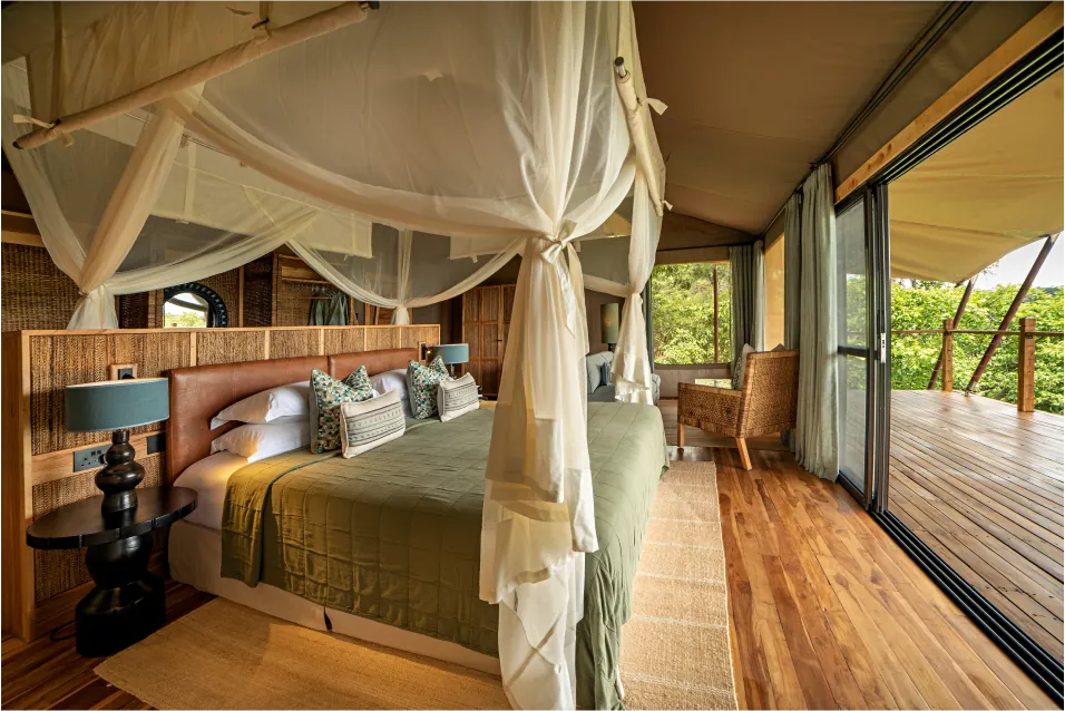 Mahogany Springs Lodge in Bwindi Buhoma sector
