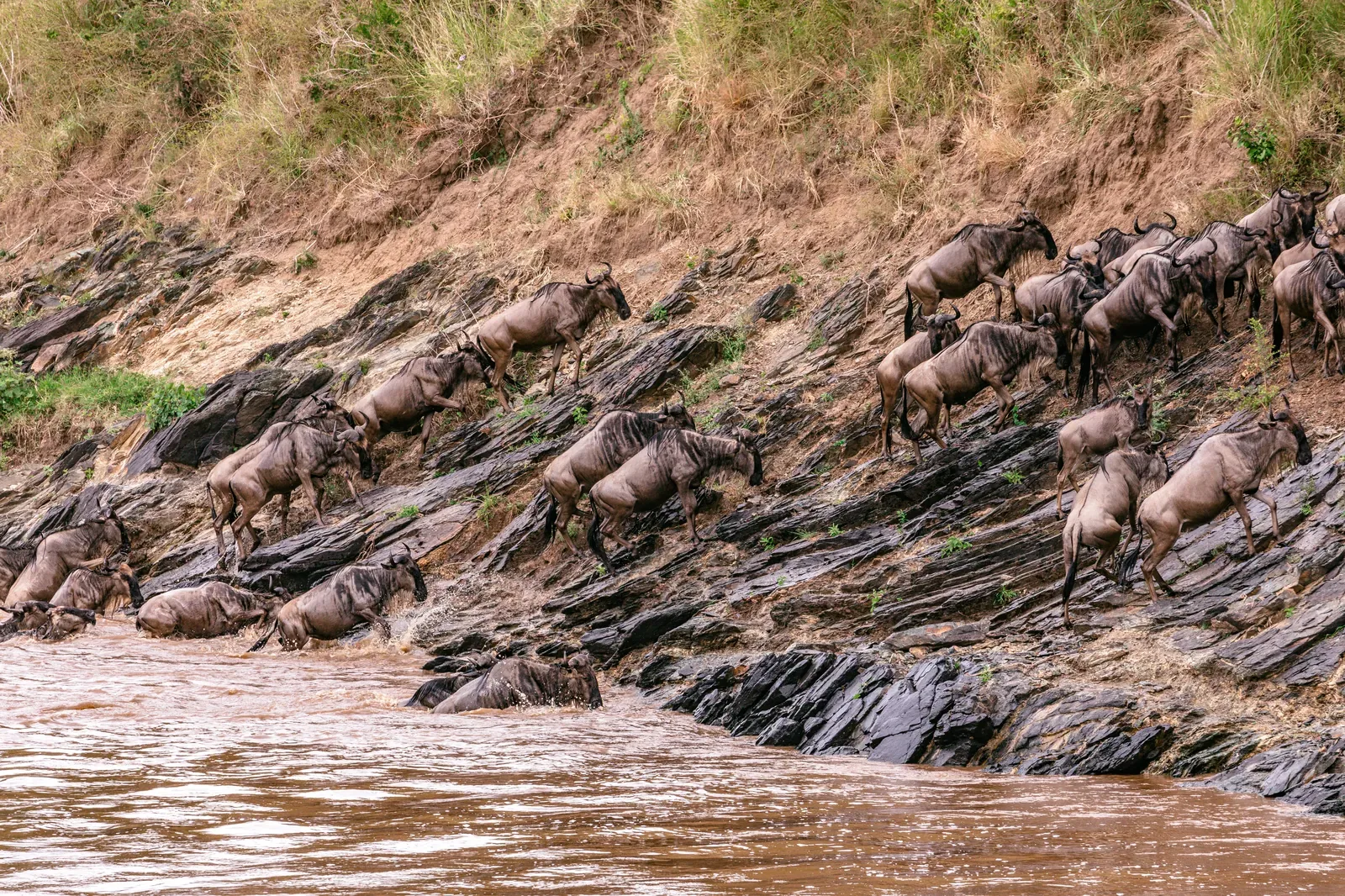 Masai Mara balloon safari Kenya