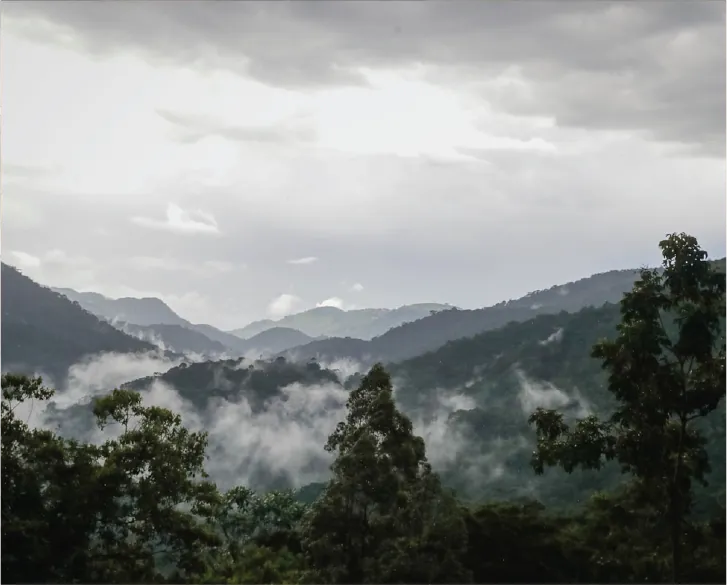 6 Days Rwanda Luxury Honeymoon Safari