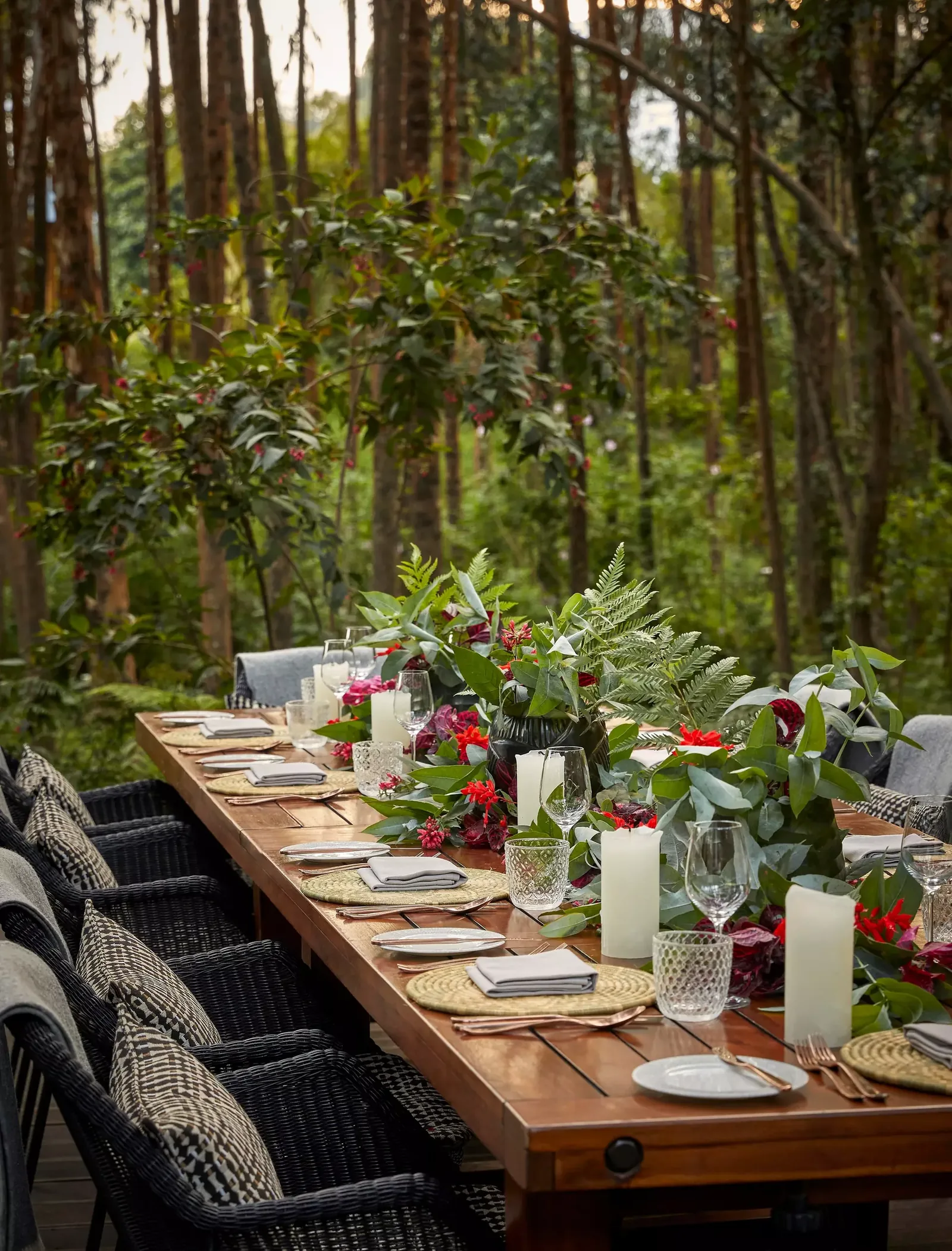 One and Only Gorilla's Nest Rwanda