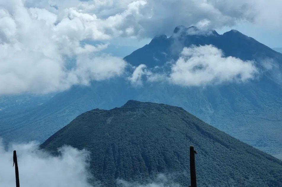 10 Days Uganda and Rwanda Signature Journey luxury safari